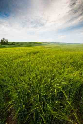Crop Health Preservation