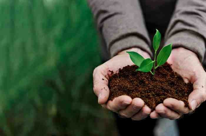 High Quality Agrochemicals Imagery