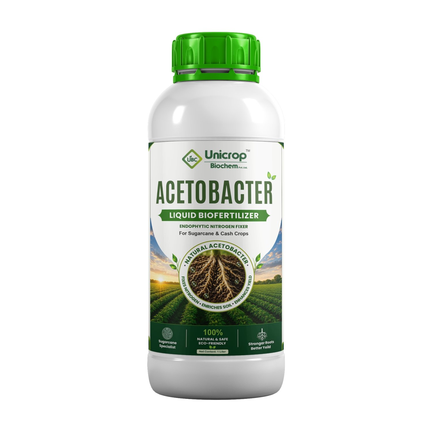 Acetobactor
