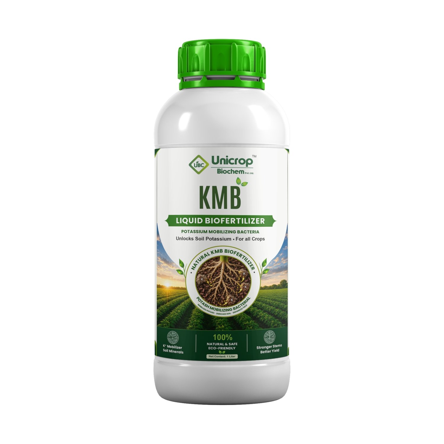 KMB