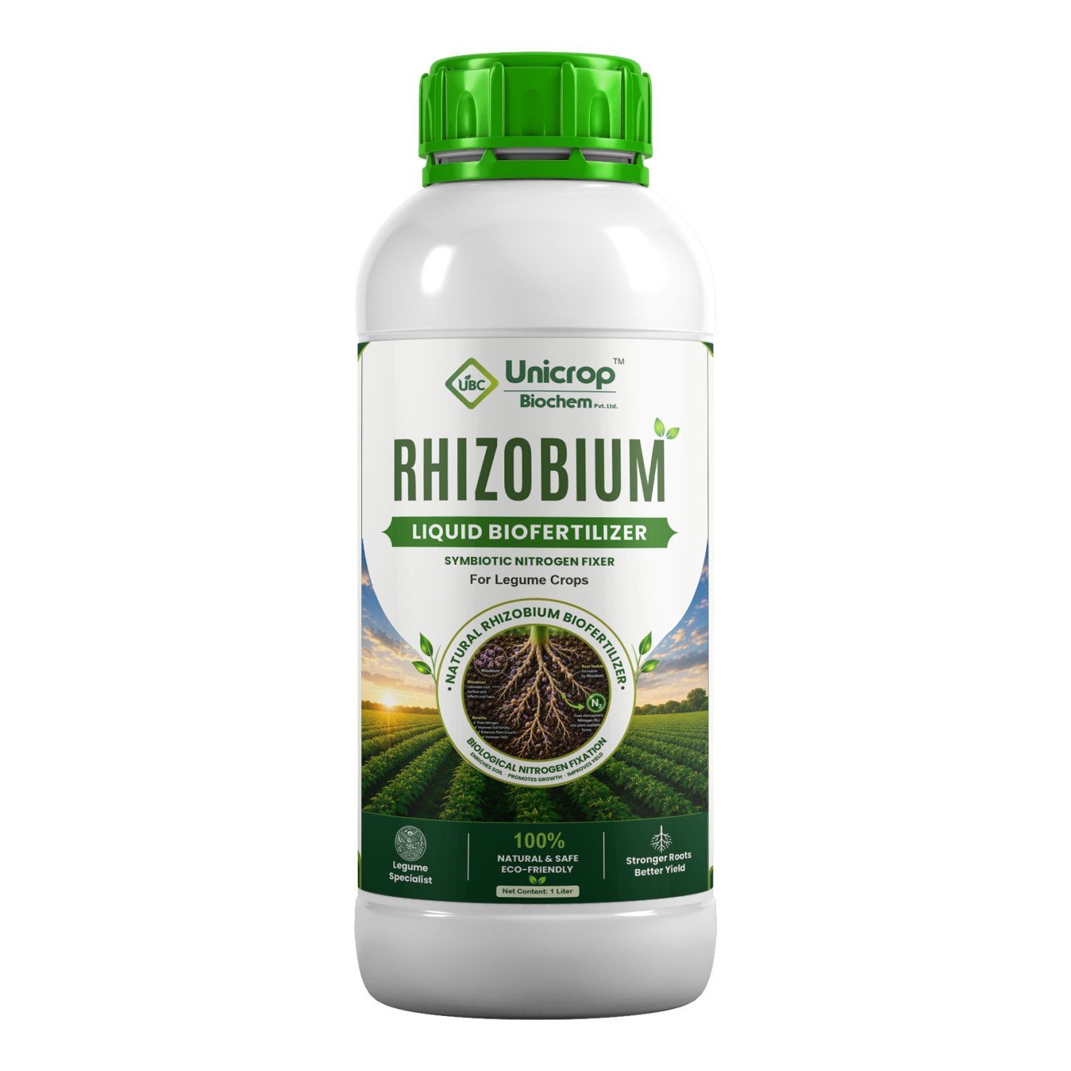 RHIZOBIUM