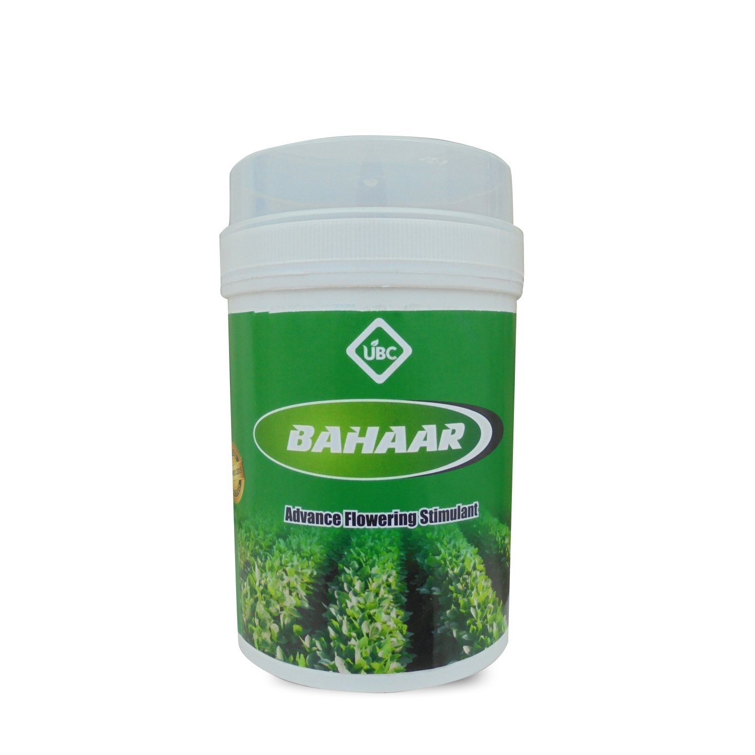 Bahaar