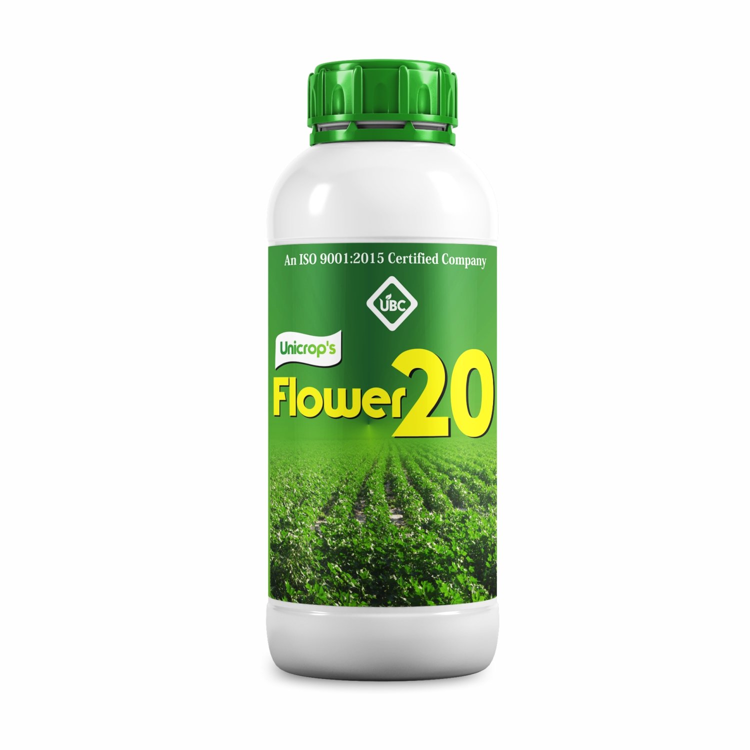 Flower 20