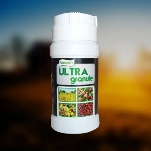Humic Acid (60%) Organic Fertilizer in Granule Form - Premium Root Enhancer. (1 kg)